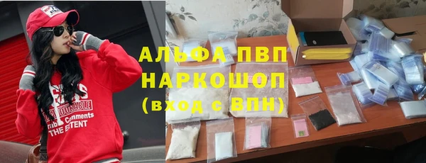 мяу мяу мука Надым
