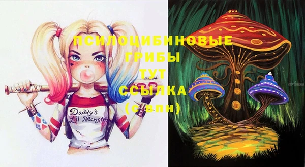 мяу мяу мука Надым