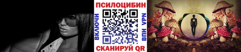 Галлюциногенные грибы Psilocybe Рыльск