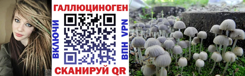 Галлюциногенные грибы MAGIC MUSHROOMS  Купить где  Рыльск 